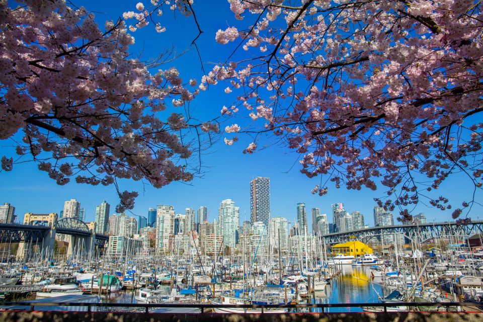 Vancouver: Hop-On Hop-Off Trolley Tour Wit 24 & 48 Hour Pass - Ticketing Options and Pricing