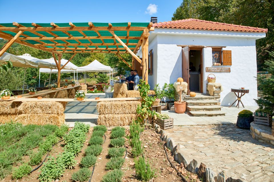 Volos: Cook Like a Local at a Greek Farm - Greek Gastronomy Discovery
