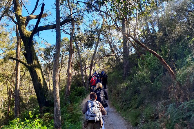 Waterfall Gully to Mt Lofty Guided Hike - What to Expect on the Hike