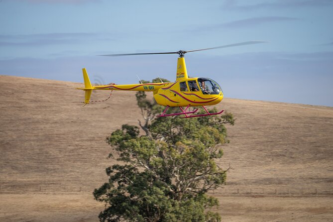 Western Ridge & Valley Floor: 20-Minute Helicopter Flight - Cancellation and Refund Policy