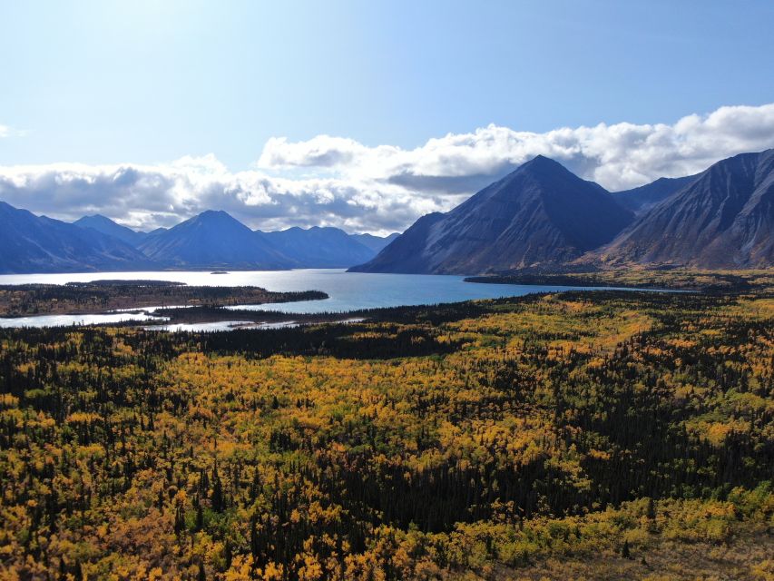Whitehorse: Kluane National Park & Haines Junction Day Trip - Duration and Group Size