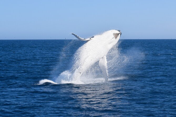Wilsons Prom Whale Cruise - Scenic Destinations and Landmarks