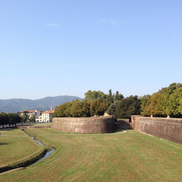 Wine and History: Visit Pisa and Lucca, From La Spezia - Itinerary