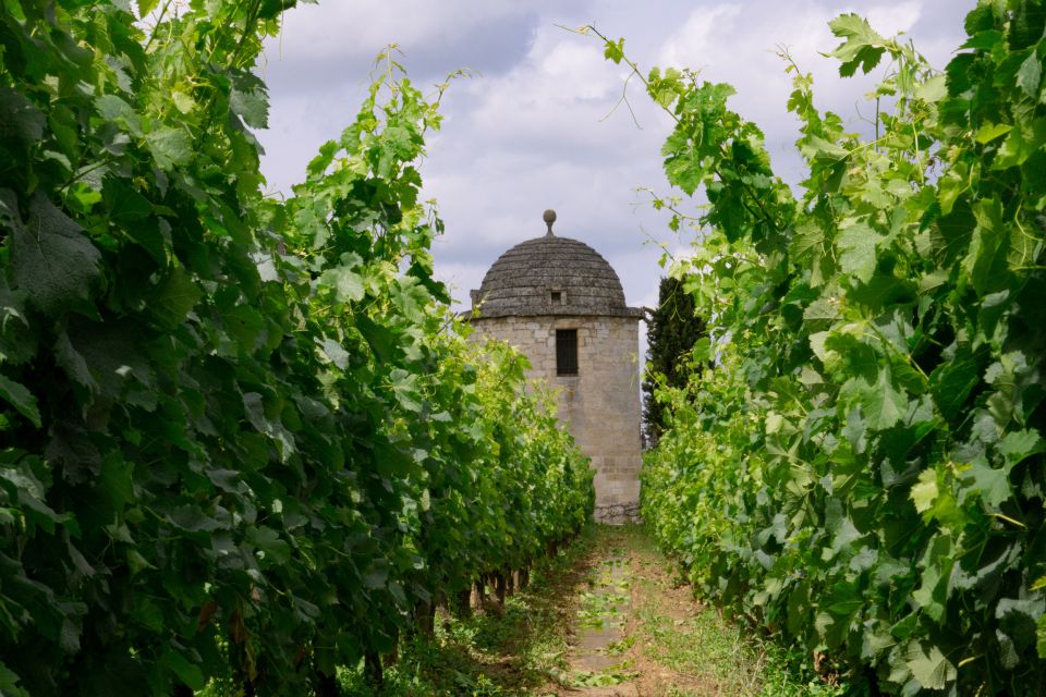 World Heritage Sites & Wineries of Saint Emilion With Lunch - Tour Itinerary