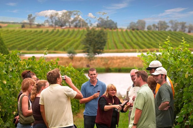Yarra Valley Wine and Winery Tour From Melbourne - Meet Your Knowledgeable Wine Guide