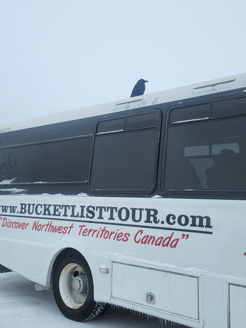 Yellowknife: Bison Highway Road Tour - Tour Experience and Vehicle