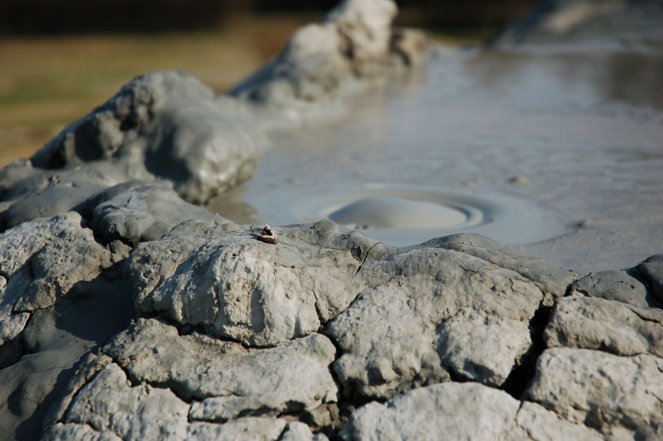 Yellowstone National Park: Self-Guided GPS Audio Tour - Included Features