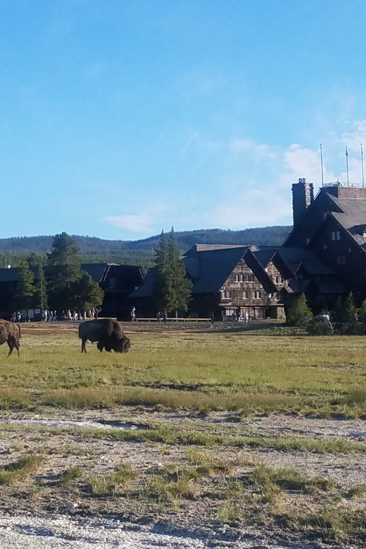 Yellowstone: Upper Geyser Basin Guided and Audio Tour - Booking Information