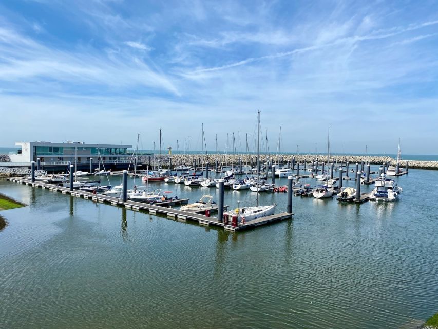 Zeebrugge: Seal Watching Boat Tour With Glass of Champagne - Location and Accessibility