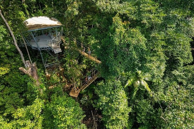 Ziplining Cape Tribulation With Treetops Adventures - Meeting Point and Itinerary
