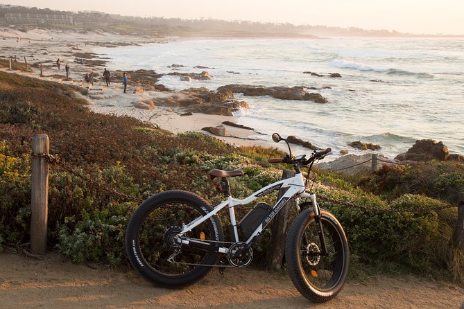 2.5-Hour Electric Bike Tour Along 17 Mile Drive of Coastal Monterey - Visitor Recommendations and Satisfaction
