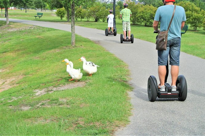 2-Hour Guided Segway Tour of Huntington Beach State Park in Myrtle Beach - Additional Information and Viator Help Center