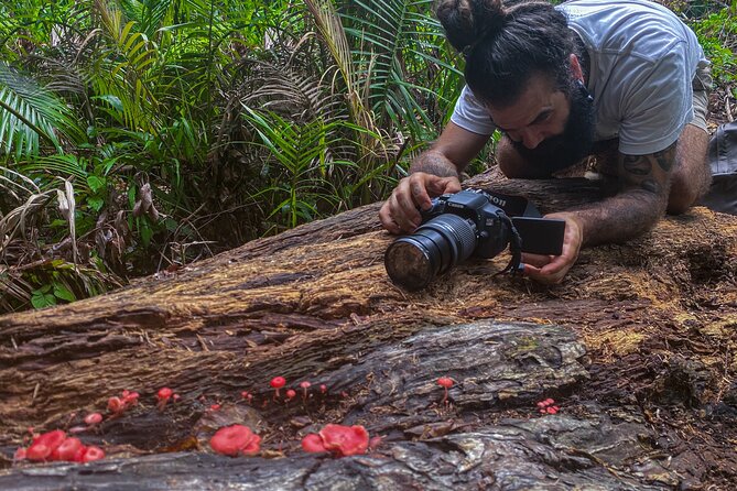 2-Hour Mushroom Photography Activity in Cairns Botanic Gardens - Reviews and Ratings From Customers