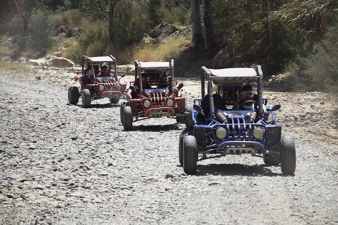2 Hours Buggy Safari Experience in the Mountains of Mijas With Guide - Directions and Tips