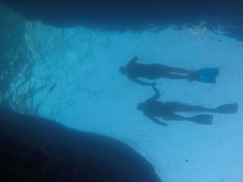 3 Hours Snorkel and Swim With Turtles Tour at Tijuca Islands - Common questions