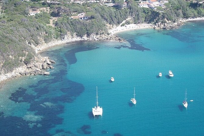 A Full-Day Catamaran Cruise Tavolara Island, With Lunch  - Olbia - Pricing and Booking Details
