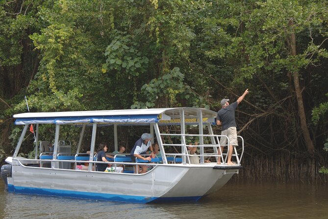 Afternoon Tour Mossman Gorge & Daintree River From Port Douglas - Whats Included in the Tour