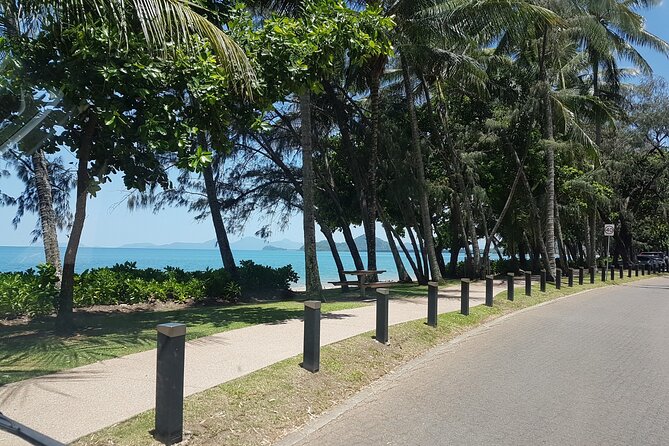 Airport Transfers Between Cairns Airport and Palm Cove - Service Schedule and Availability
