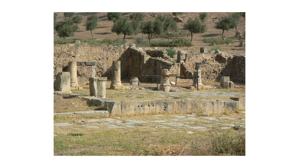 Ancient Wonders: Dougga & Bulla Regia Guided Tour - Inclusions and Exclusions