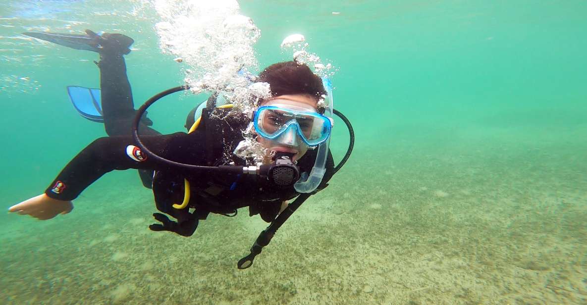 Athens East Coast: Padi Open Water Diver Course in Nea Makri - Theory and Practical Sessions