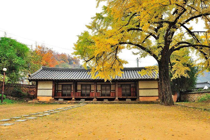 Autumn 8 Days South Korea Tour Including Jeonju,Damyang,Mt.Naejangsan - Entrance Fees and Activities
