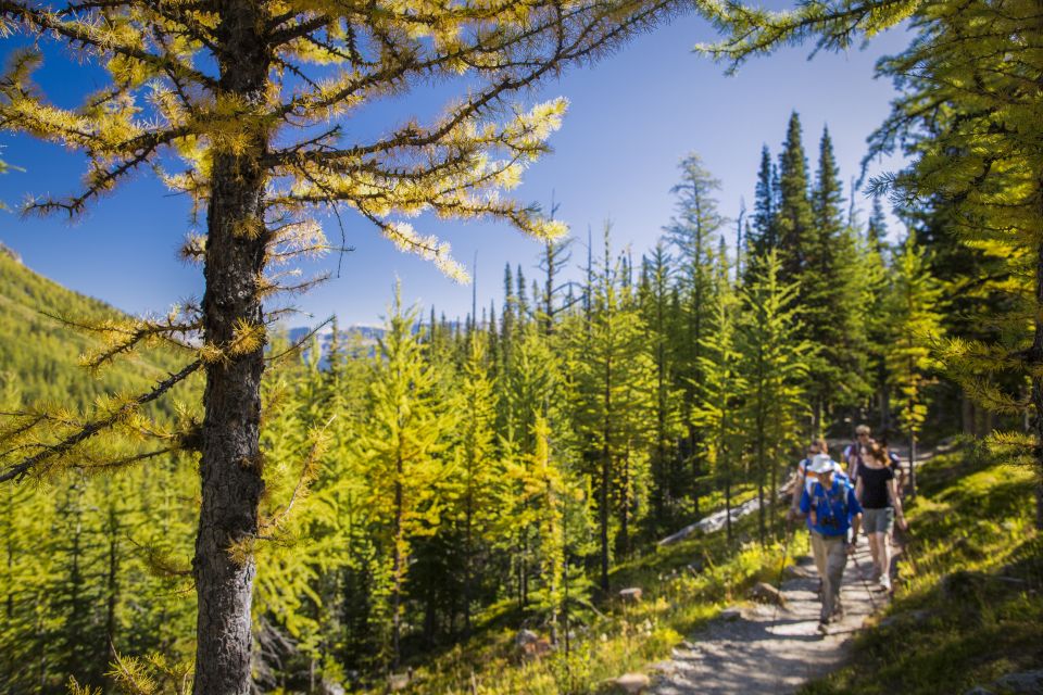 Banff National Park: Guided Signature Hikes With Lunch - Certified Guide