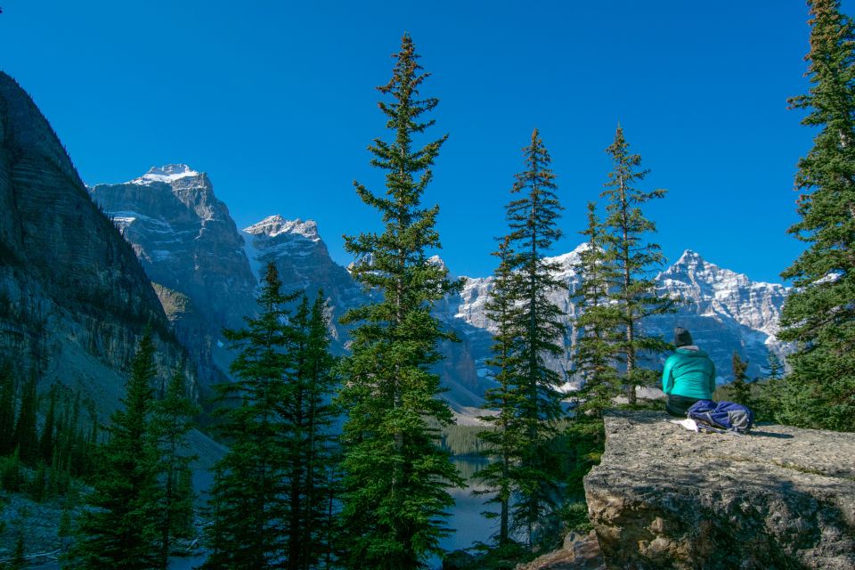 Banff National Park: Hop-On-Hop-Off Bus Day-Pass - Booking Information
