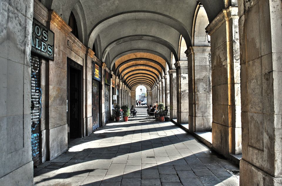 Barcelona - Gothic Quarter Historic Guided Walking Tour - Activity Description