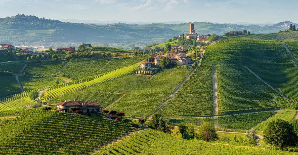 Barolo Winery Private Visit With Gourmet Lunch - Key Points