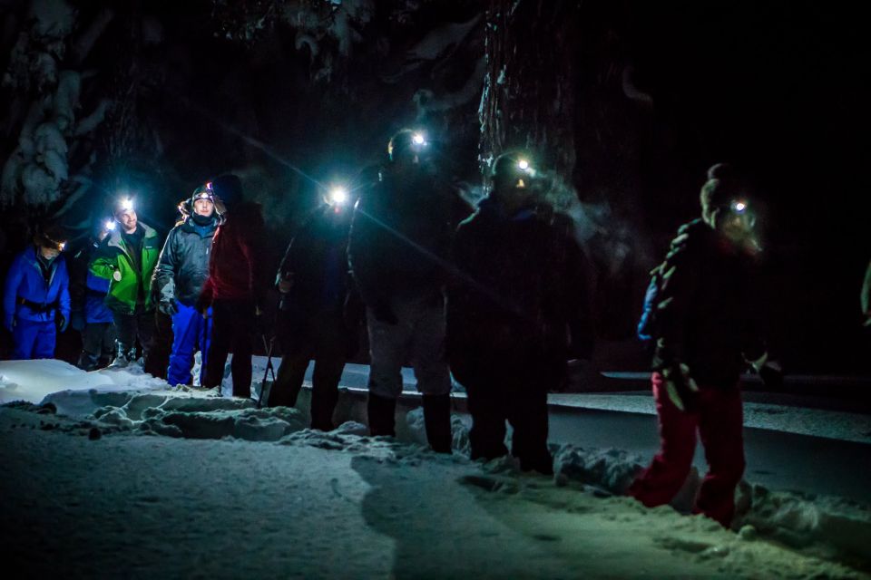 Bend: Guided Moonlit Snowshoe Tour - Customer Review