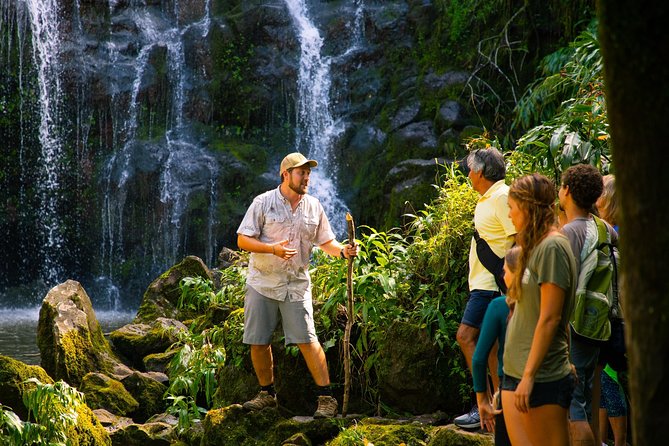 Big Island Kohala Zip and Dip Tour From Kona - Memorable Guest Experiences