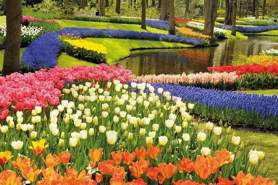 Brussels: Keukenhof, Tulips, and Delft Day Trip - Time Constraints