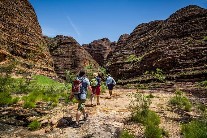 Bungle Bungle Flight & Domes To Cathedral Gorge Walking Tour - Essential Information to Know
