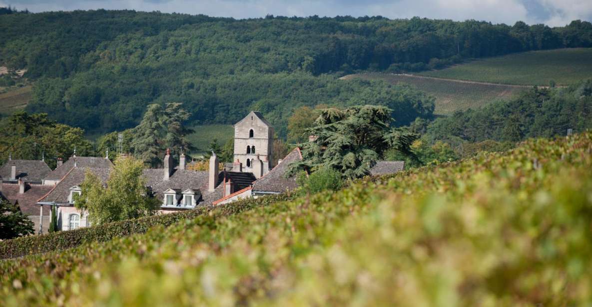 Burgundy: Guided Vineyard and Winery Tour With Wine Tasting - Vineyard and Winery Exploration