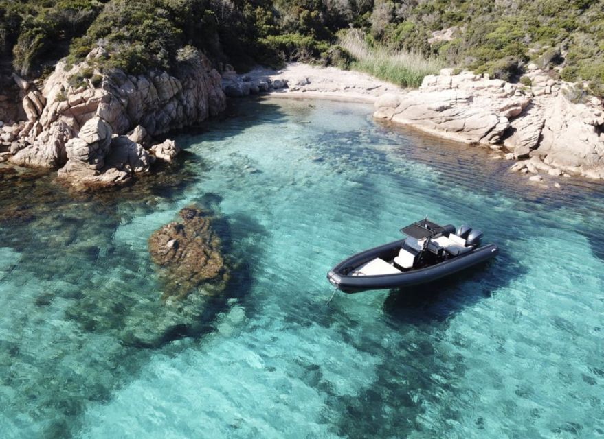 Calvi: Private Speedboat Tour to Wild Beaches With Aperitif - Highlights Recap