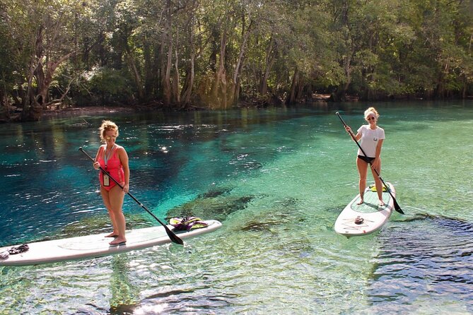 Cold Spring Kayak or Canoe Eco Tour With Snorkeling, Swimming  - Panama City Beach - Pricing and Reservation