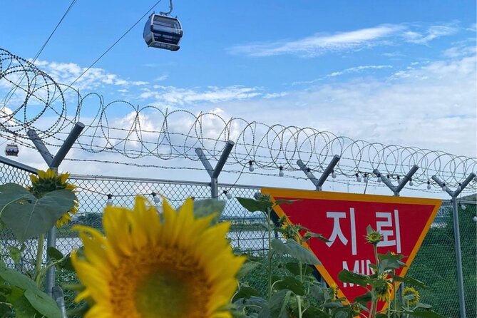 Cost-Benefit DMZ Shuttle Bus Tour : Vehicle, English Staff - Cancellation and Refund Policy