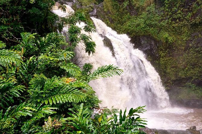 Deluxe Halfway to Hana: Private Tour From Kahului - Safety and Accessibility Information