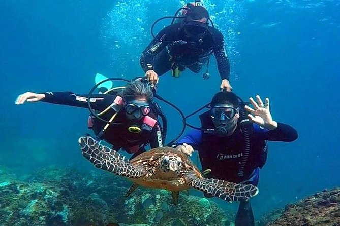 Diving for Beginners and Accredited - Búzios RJ - Diving Basics