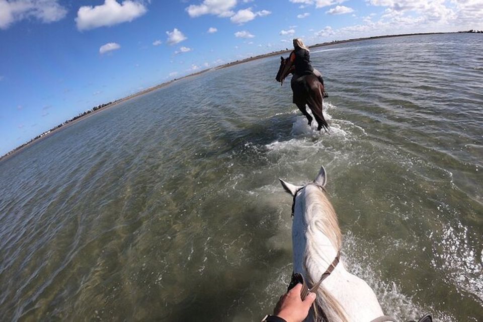 Djerba: 2-Hour Lagoon Horse Riding Experience - Final Words