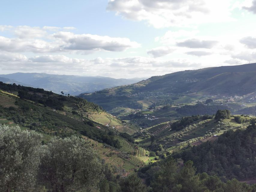 Douro Exclusive: Places Tour - Pickup Location and Private Group