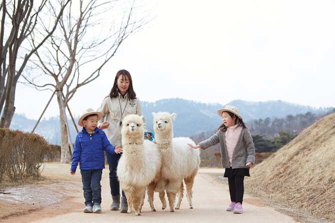 Enchanting South Korea: Art, Alpacas, and Scenic Escapes Tour! - Expert Guides and Transportation