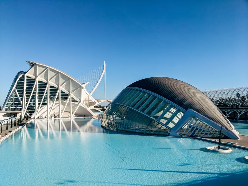 From Alicante: Valencia Full-Day Guided Tour - Experience Highlights and Tour Description