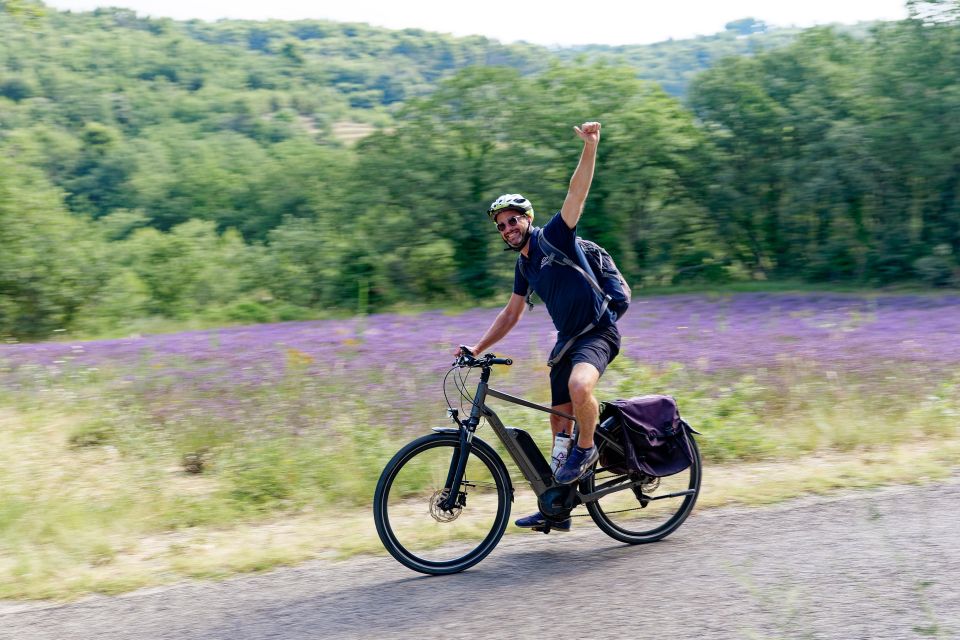 From Avignon: Full-Day E-Bike Tour in the Luberon Region - Pricing