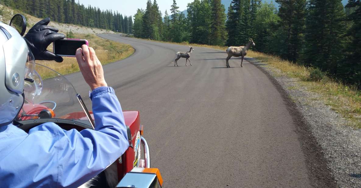 From Calgary: High Spirits Adventure in a Sidecar Motorcycle - Customer Reviews