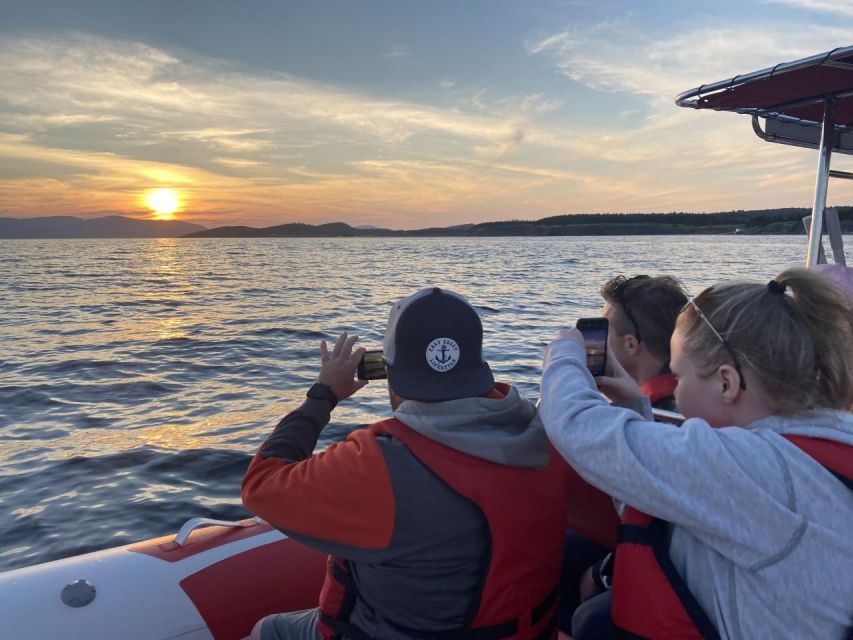 From Corner Brook : Bay Of Islands Island Zodiac Boat Tour - Common questions