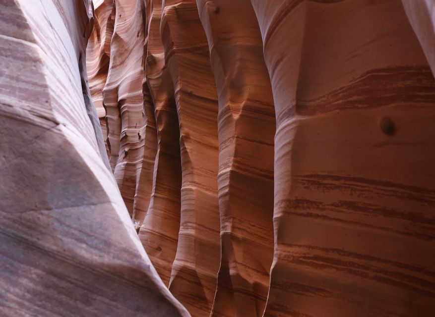 From Escalante: Zebra Slot Canyon Guided Tour and Hike - Tour Location and Activity