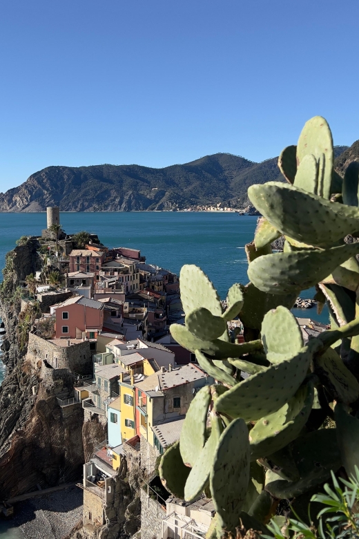 From Florence: Cinque Terre&Pisa Private Day Tour W/Transfer - Common questions