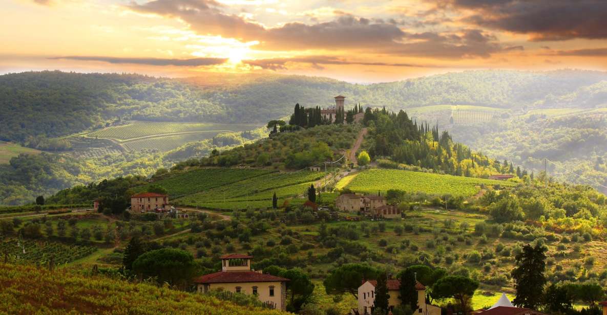 From Florence: Private Wine Tour With Dinner on an Estate - Customer Reviews
