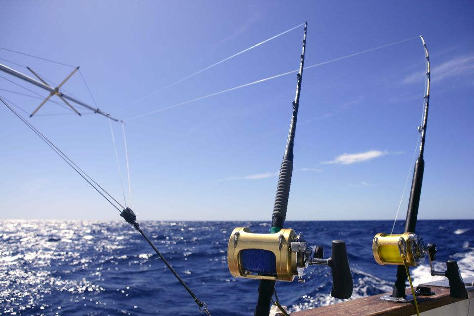 From Funchal : Big Game Fishing Boat Trip - Fishing Techniques and Experience